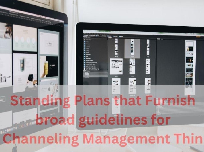 Standing Plans That Furnish Broad Guidelines For Channeling Management Thin