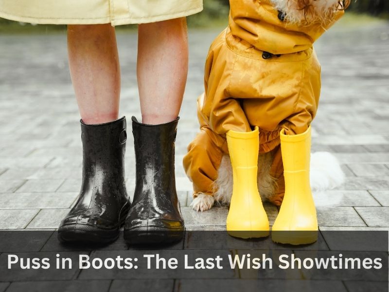Puss in Boots: The Last Wish Showtimes