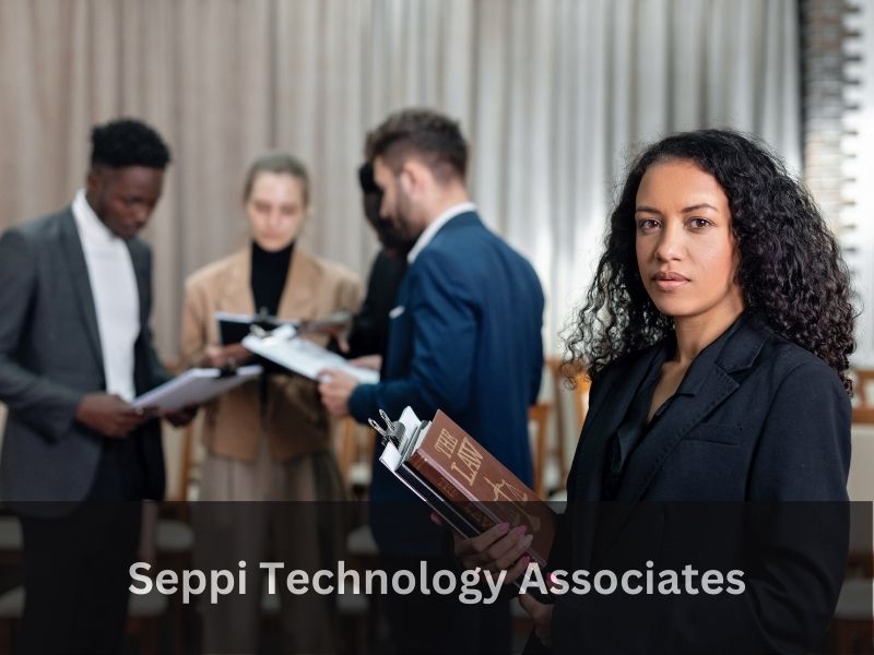 You Have To Know About Seppi Technology Associates