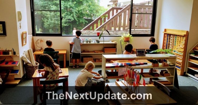Nurturing Brilliance: How Tokyo Montessori School Fosters Academic Achievement